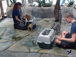 Haus des Meeres 13.03.2026